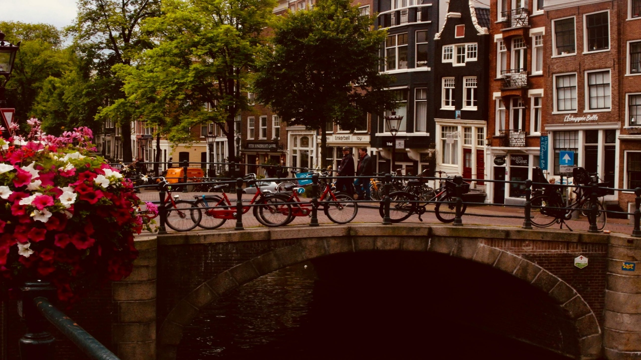 Commercial Director – The Netherlands